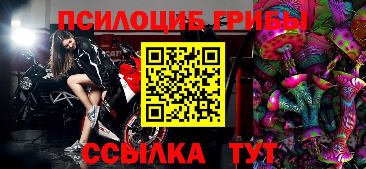 Галлюциногенные грибы прущие грибы  Псилоцибиновые грибы мицелий  Сухой Лог  как найти закладки  Вход с VPN 